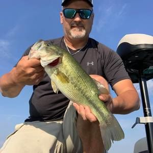 Meet your Posher, Steven